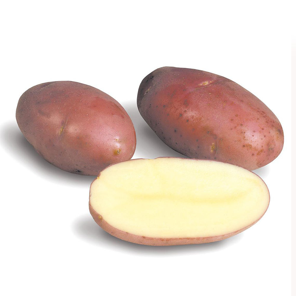 Alarm Clock With Lamp