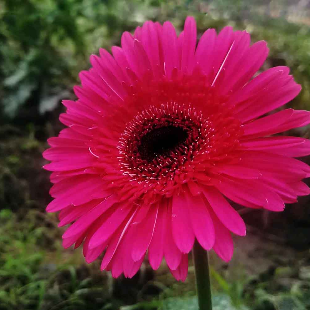 Alarm Clock With Lamp
